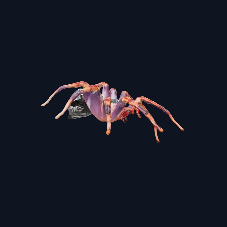 Vibrant Spider model pack